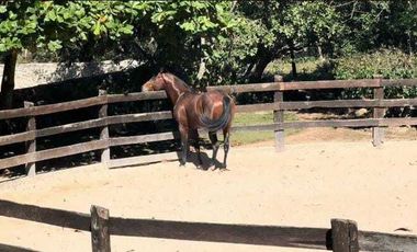 RANCHO EN VENTA EN EL MUNICIPIO DE MOCOCHÁ.