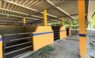 RANCHO EN VENTA EN EL MUNICIPIO DE MOCOCHÁ.