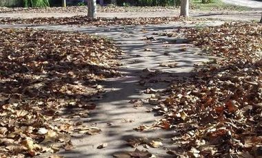 Casa en venta - 2 Dormitorios 2 Baños - 404Mts2 - Pedernales