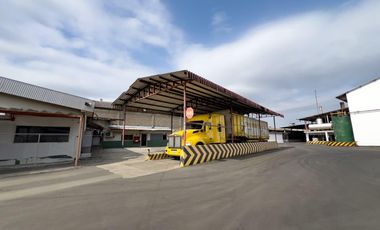 Planta de Extracción y Refinación de Aceite Vegetal en Venta