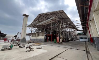 Planta de Extracción y Refinación de Aceite Vegetal en Venta
