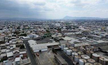Planta de Extracción y Refinación de Aceite Vegetal en Venta
