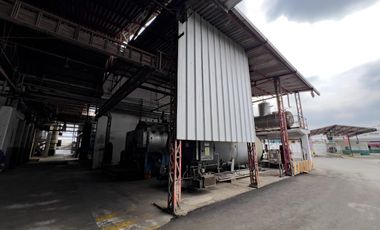 Planta de Extracción y Refinación de Aceite Vegetal en Venta