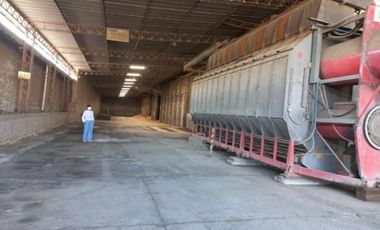 Planta de Extracción y Refinación de Aceite Vegetal en Venta