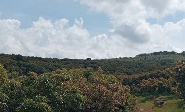 Rancho en venta Copitiro