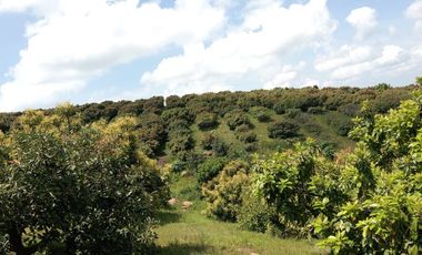 Rancho en venta Copitiro