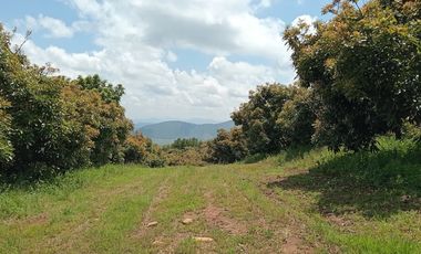 Rancho en venta Copitiro
