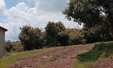 Rancho en venta Copitiro