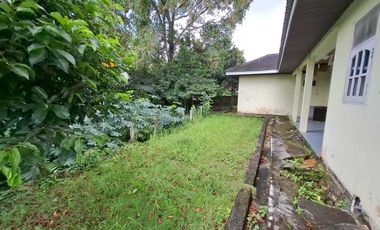 Dijual Rumah Tengah Kota tanah luas di Somber