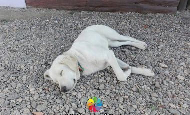 Cabañas en Alquiler Temporario - Villa Giardino - Córdoba