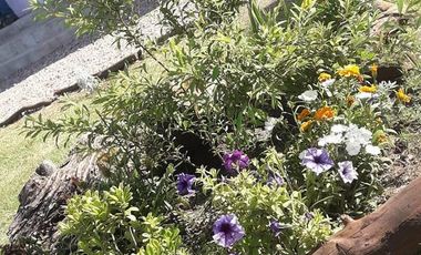 Cabañas en Alquiler Temporario - Villa Giardino - Córdoba