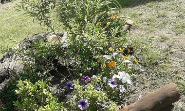 Cabañas en Alquiler Temporario - Villa Giardino - Córdoba