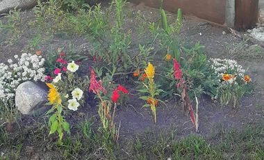 Cabañas en Alquiler Temporario - Villa Giardino - Córdoba