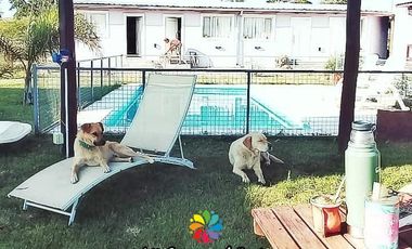 Cabañas en Alquiler Temporario - Villa Giardino - Córdoba