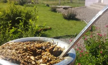 Cabañas en Alquiler Temporario - Villa Giardino - Córdoba