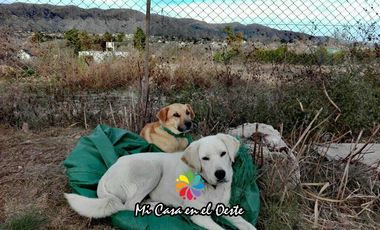Cabañas en Alquiler Temporario - Villa Giardino - Córdoba