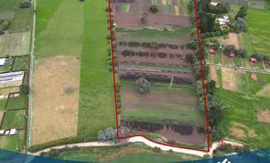 En Venta 2 Fincas  en Tenjo ¡Oportunidad Única!