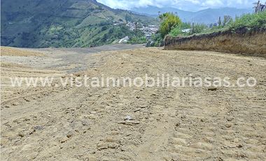 Venta Lote Santagueda, Palestina