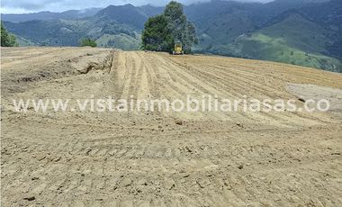 Venta Lote Santagueda, Palestina