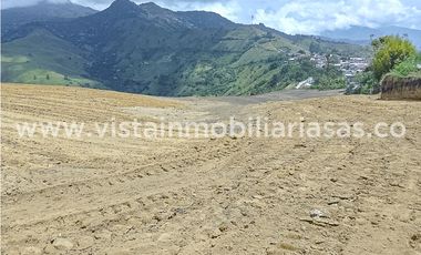 Venta Lote Santagueda, Palestina