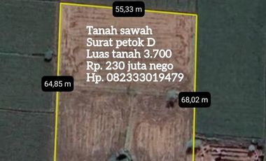 Sawah produktif di jual cepat butuh uang mendesak