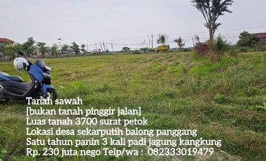 Sawah produktif di jual cepat butuh uang mendesak