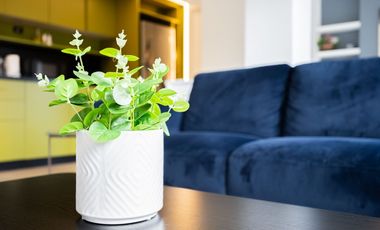 SE VENDE APARTAMENTO | CASCO ANTIGUO