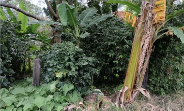 Vendo Lote en Palmira distrito de Boquete #4