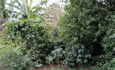 Vendo Lote en Palmira distrito de Boquete #4