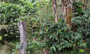 Vendo Lote en Palmira distrito de Boquete #4