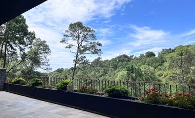 Zona Arbolada al norte de Cuernavaca