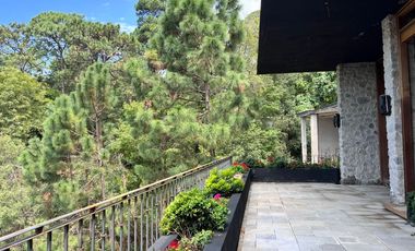 Zona Arbolada al norte de Cuernavaca