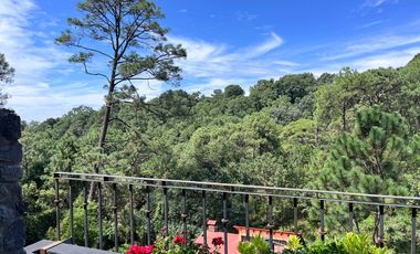 Zona Arbolada al norte de Cuernavaca