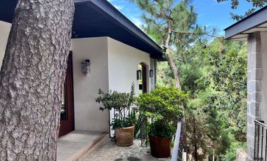 Zona Arbolada al norte de Cuernavaca