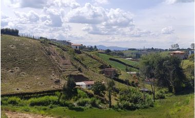 Finca en venta en El Carmen de Viboral