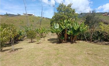 Finca en venta en El Carmen de Viboral