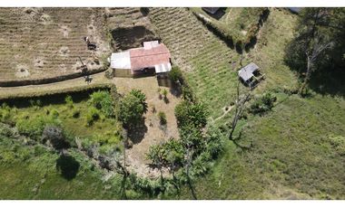 Finca en venta en El Carmen de Viboral