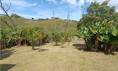 Finca en venta en El Carmen de Viboral