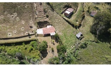 Finca en venta en El Carmen de Viboral