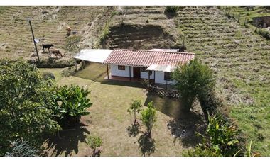 Finca en venta en El Carmen de Viboral