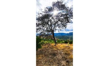 Lote en urbanización de 2000 M2 en 200 mill en #lamesacundinamarca