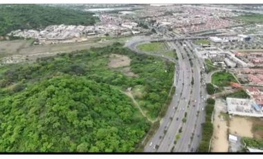 Samborondón, Terreno en Venta, 43.800m2