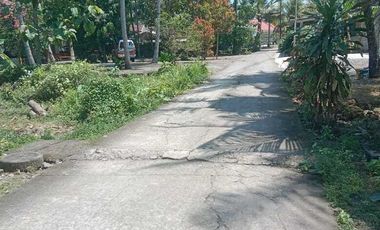 JUAL TANAH DI TAMBAK TRIHARJO WATES KULONPROGO