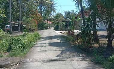 JUAL TANAH DI TAMBAK TRIHARJO WATES KULONPROGO