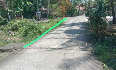 JUAL TANAH DI TAMBAK TRIHARJO WATES KULONPROGO