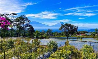 Dijual Villa + Restaurant Wisata Nepal Van Java