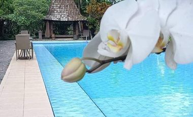 Dijual Villa + Restaurant Wisata Nepal Van Java