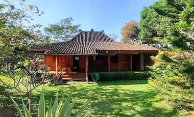 Dijual Villa + Restaurant Wisata Nepal Van Java