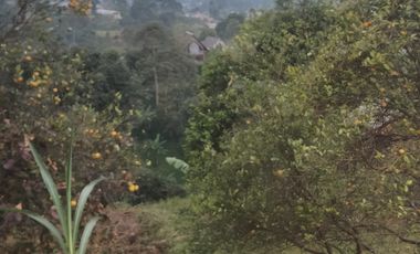 Jual Murah Tanah dkt.Perum Lembang Asri,View,Sejuk,Msk Mobil.