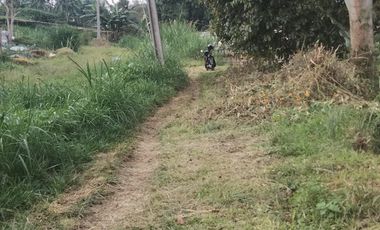 Jual Murah Tanah dkt.Perum Lembang Asri,View,Sejuk,Msk Mobil.